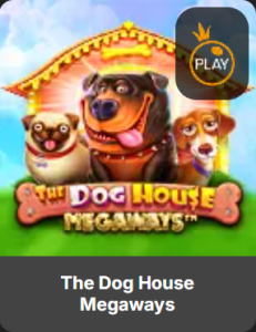 12Play - The Dog House Megaways - 12playme