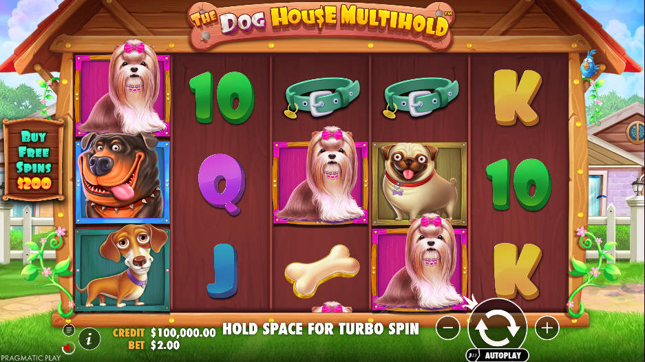 The Dog House Multihold Slot - Interface - 12playme
