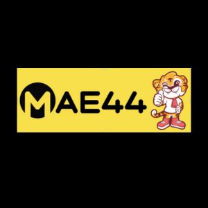 MAE44 - Logo - 12playme